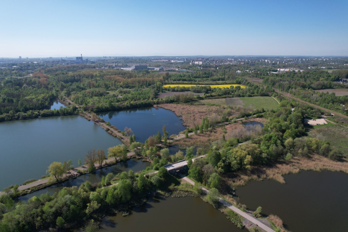 Zespół Przyrodniczo-Krajobrazowy Żabie Doły 