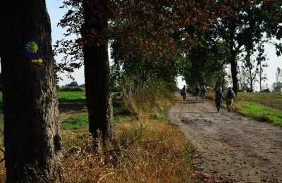 Camino - Szlak św. Jakuba