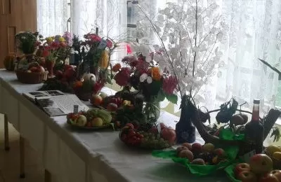 Działkowcy świętowali okrągły jubileusz