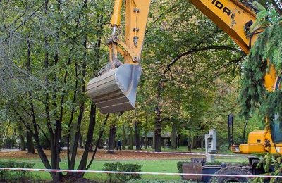 Park Miejski w odnowie