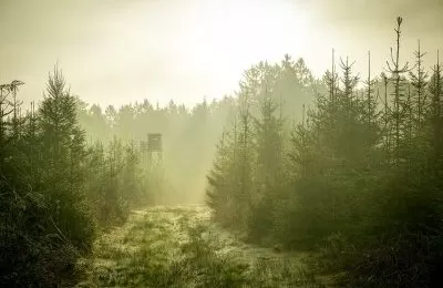 Informacja dotycząca polowania