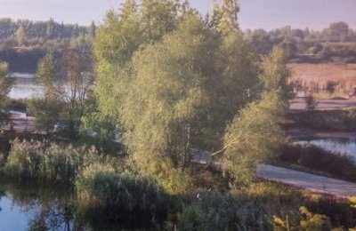 Poznaj przyrodnicze zakątki Bytomia