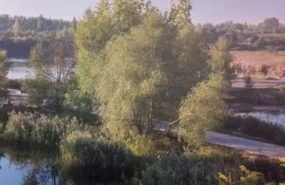 Poznaj przyrodnicze zakątki Bytomia