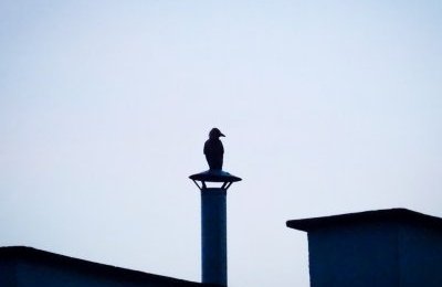 Więcej pieniędzy na wymianę ogrzewania