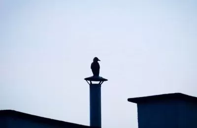 Więcej pieniędzy na wymianę ogrzewania