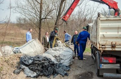 Folia zniknęła z lasu