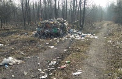 Było zgłoszenie - jest reakcja