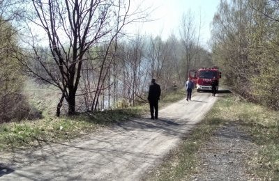 Służby miejskie reagują na każde zgłoszenie d