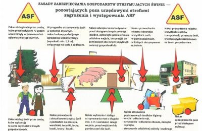 Informacja dla rolników dotycząca wirusa ASF