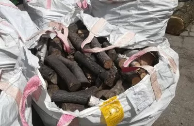 MZZiGK sprzedaje drewno opałowe. Dochód zostanie