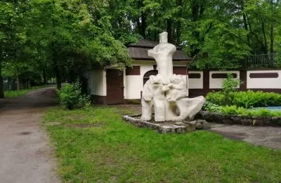 Misie w parku do wzięcia!