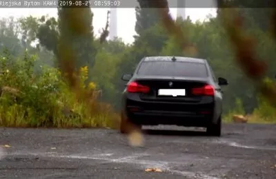 Fotopułapka sposobem na śmiecących