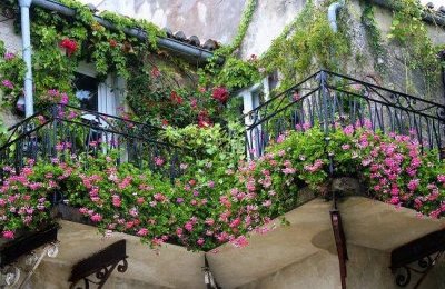 Masz ukwiecony balkon lub ogródek? Zgłoś się d