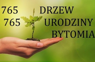 Drzewko dla Bytomia
