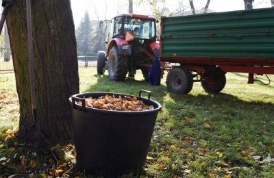 Sposób na czystsze miasto