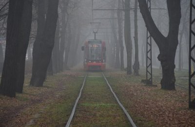 Uwaga! Gęsta mgła