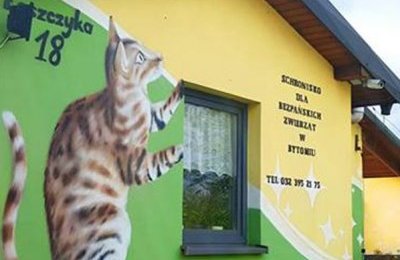Schronisko dla bezdomnych zwierząt nieczynne 24 i
