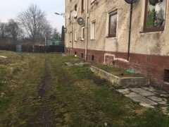 Interweniowali strażnicy miejscy. Teren posprząt