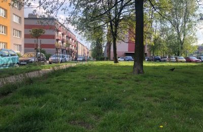 Skoszą tam, gdzie to konieczne