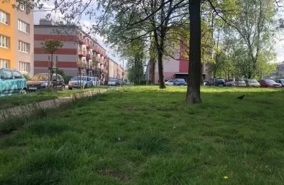 Skoszą tam, gdzie to konieczne