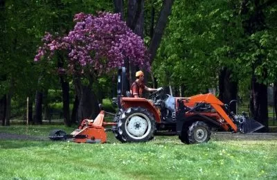 Alternatywa dla trawnika. W Bytomiu sieją łąki