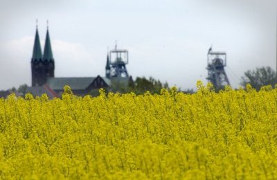Finansowe wsparcie dla rolników