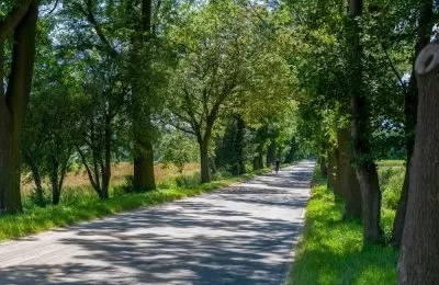 Czyszczenie ulicy po ulewie