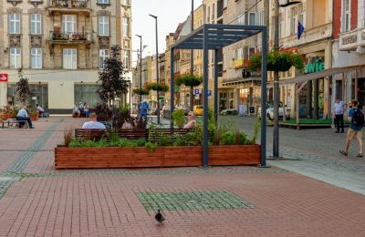 Bytomski Rynek znów się zazielenił