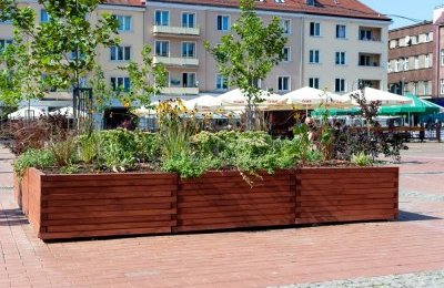 Bytomski Rynek znów się zazielenił
