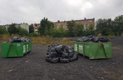 W Bytomiu likwidują wysypiska i karzą mandatami