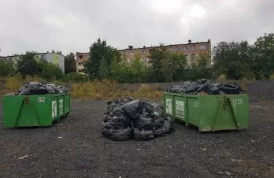 W Bytomiu likwidują wysypiska i karzą mandatami