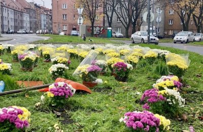 Kwiaty ozdobiły skwer przy ul. Miarki