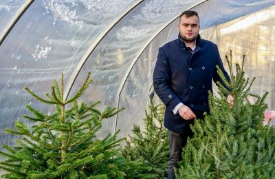 W Bytomiu dajemy choinkom nowe życie