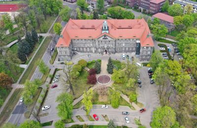 Płatności i inne sprawy urzędowe przez internet