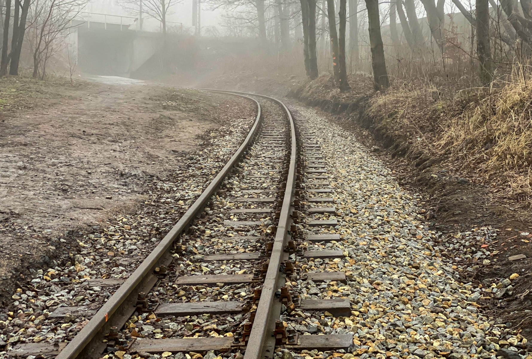 W 2020 r. Zrealizowany został remont 1160 metrów linii kolei wąskotorowej, fot. Hubert Klimek