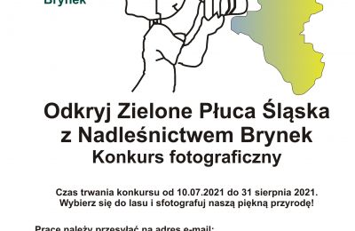 Sukces uczniów Szkoły Podstawowej nr 43 w Bytomi