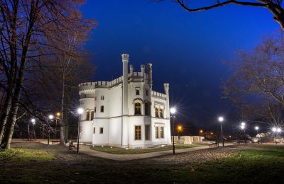 Zagłosuj na pałac Tiele-Wincklerów