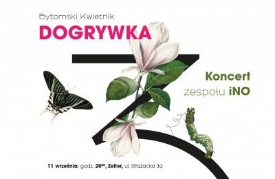 Koncert na Strażackiej