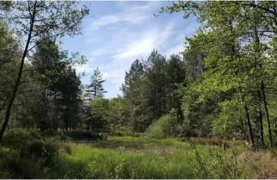 Nowy obszar pod ochroną - Verona. Tam, gdzie wygr