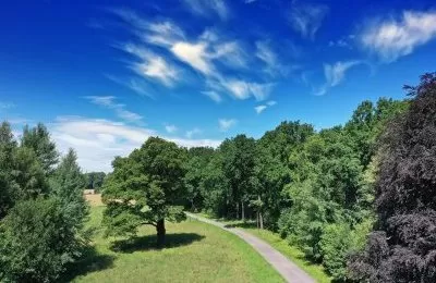 Plan Urządzenia Lasu a bytomskie ostoje
