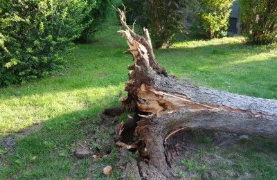 Służby usuwają skutki silnego wiatru