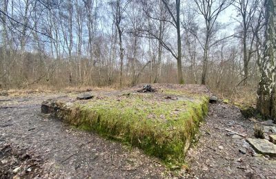 Bytom przejmuje kolejne tereny od SRK - po drogach
