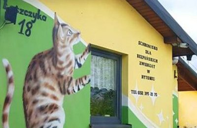 Uwaga mieszkańcy. Biuro schroniska dla bezdomnych