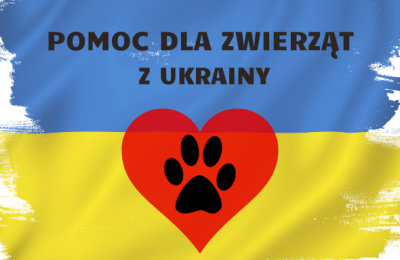 Bytomskie schronisko z pomocą dla zwierząt uchod