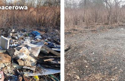 Kolejne dzikie wysypiska zlikwidowane