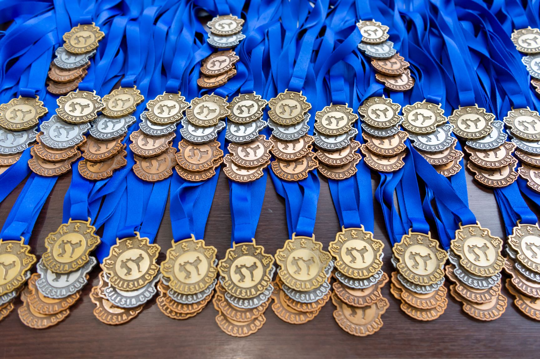Medalii concurate de jucătorii de karate în 2021