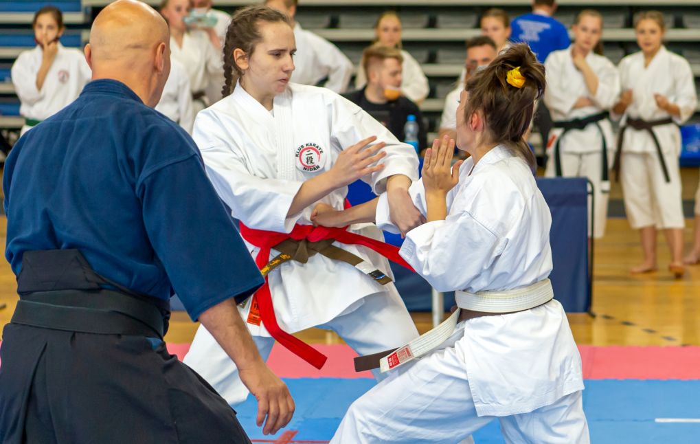 Ediția de anul trecut a atras câteva sute de karate la Phytom