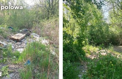 Trwa likwidacja kolejnych dzikich wysypisk w Bytom