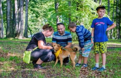 Weź czworonoga na spacer