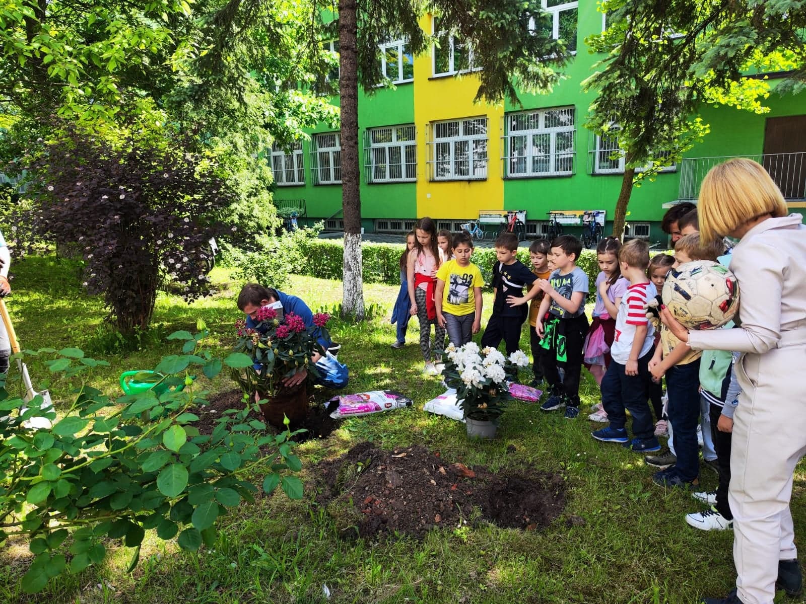 Dzięki inicjatywie rodziców i uczniów z Ukrainy, którzy od marca uczą się w oddziałach przygotowawczych, przed szkołą pojawiły się nowe barwne rododendrony.
